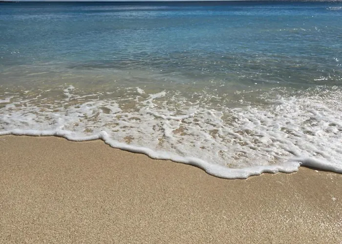 Apartamento Palmloft