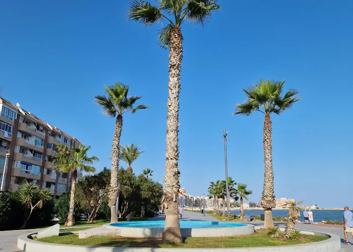 Apartamento Palmloft *