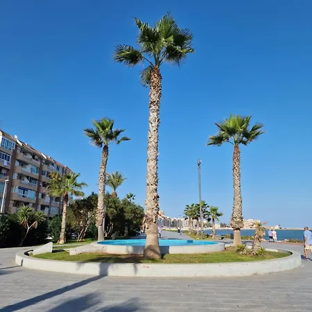 Apartment Palmloft *