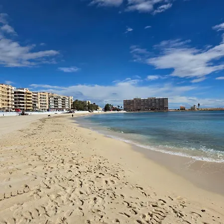 Palmloft