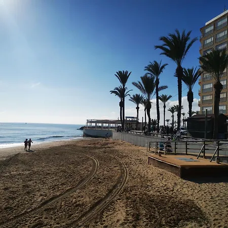 Palmloft * トレビエハ