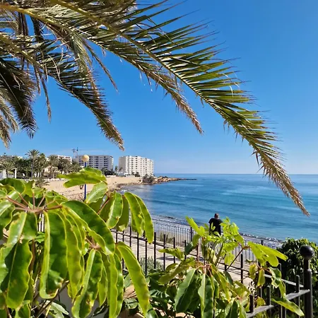 Palmloft アパート